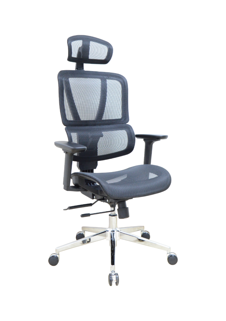FLEXON CHAIR (Full Mesh) image 0