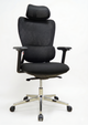 High Back Ergonomic Chair-833A