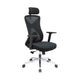 High-Back Office Chair – Mesh, Black – DQ-1913ADC