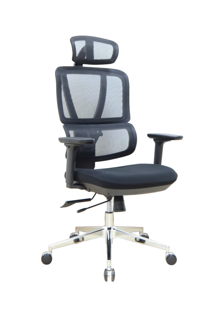 FLEXON CHAIR (Mesh Back & Fabric Seat) image 0