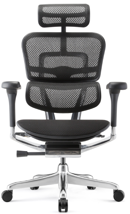 Ergohuman Elite 2