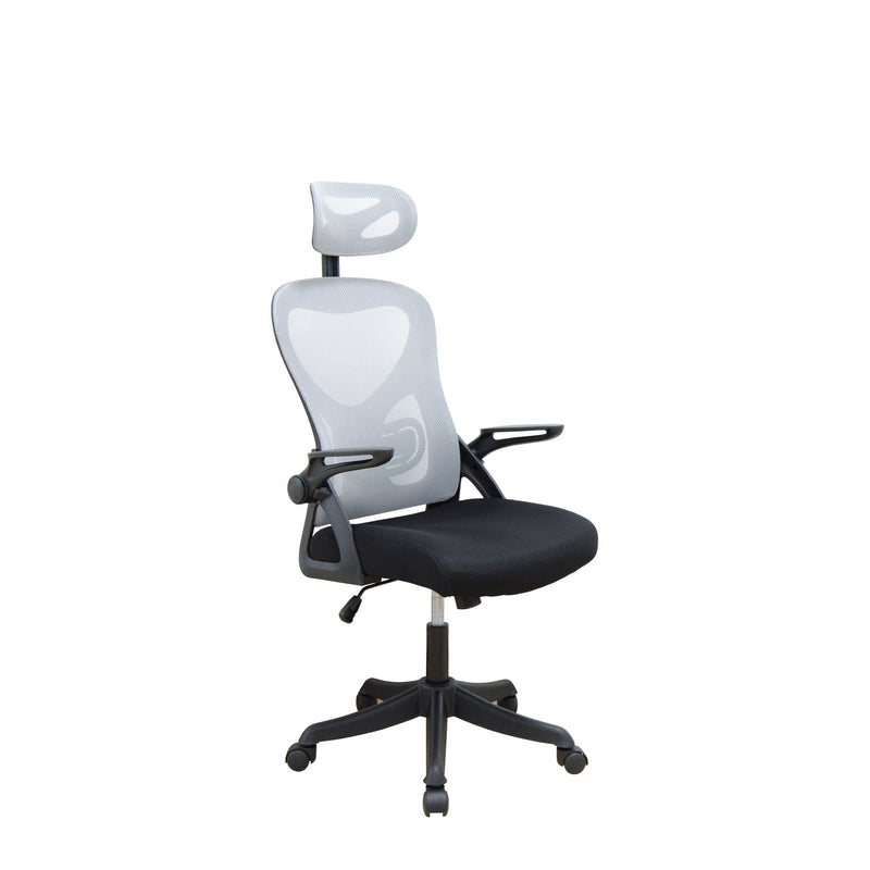 New Mesh High back chair-Adjusting arms and nylon cantilever base - 2362