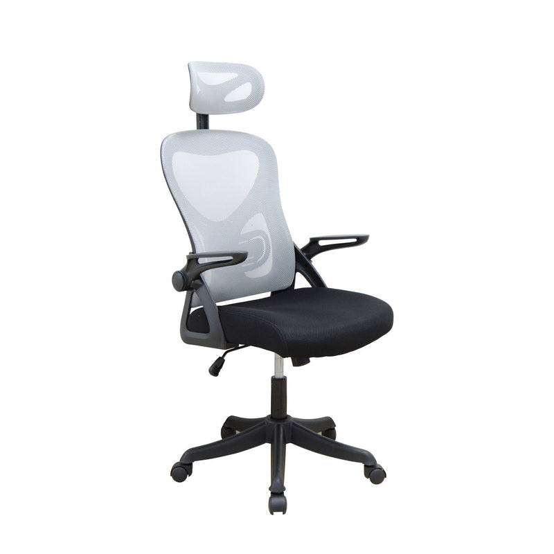 New Mesh High back chair-Adjusting arms and nylon cantilever base - 2362